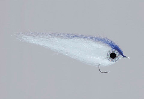 Rainys BFT Blue Back Herring Rainys BFT Blue Back Herring